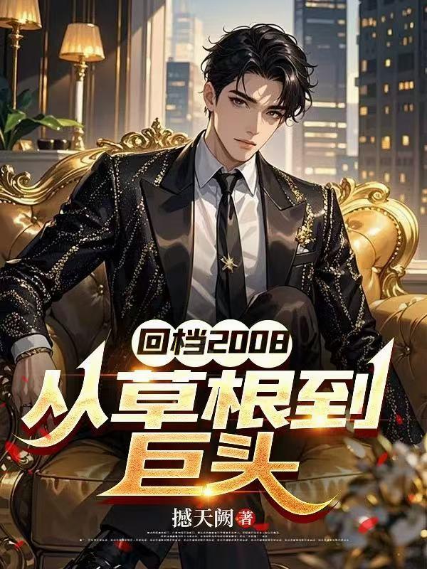 回档2008从草根到巨头